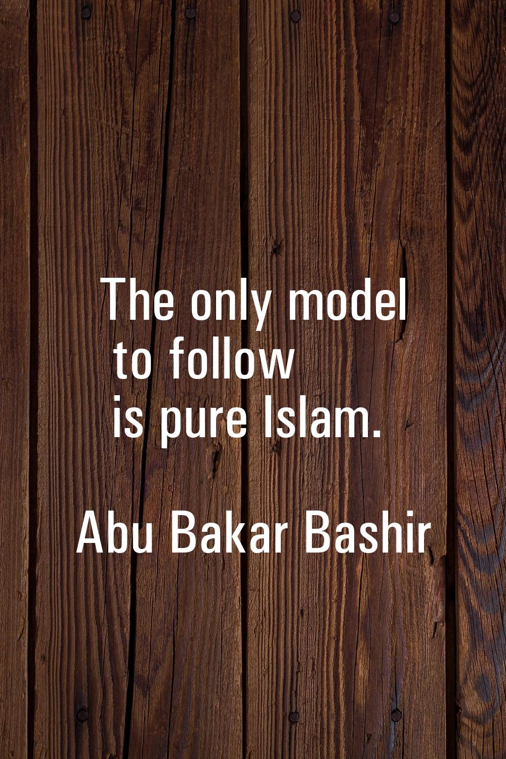The only model to follow is pure Islam.