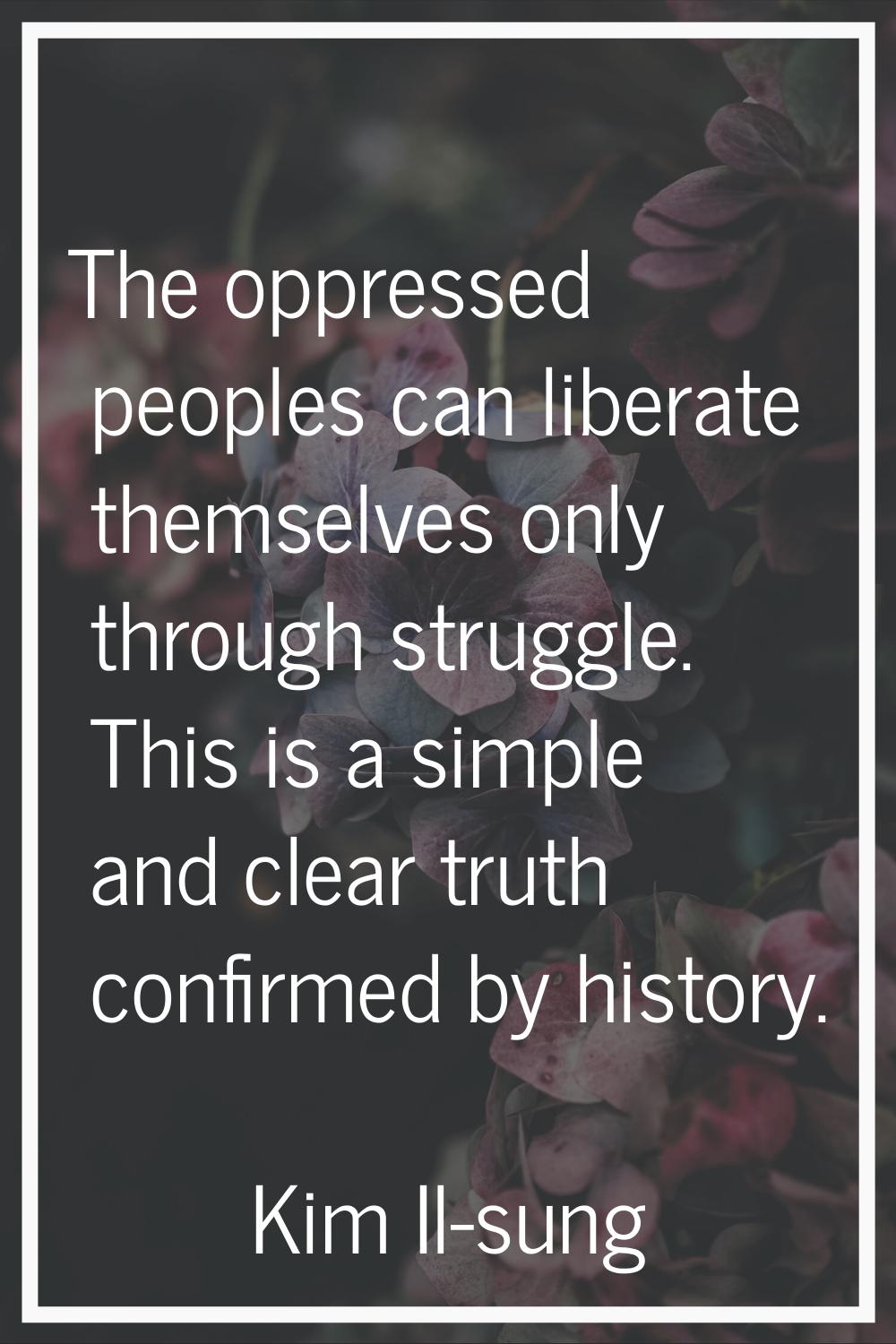 The oppressed peoples can liberate themselves only through struggle. This is a simple and clear tru