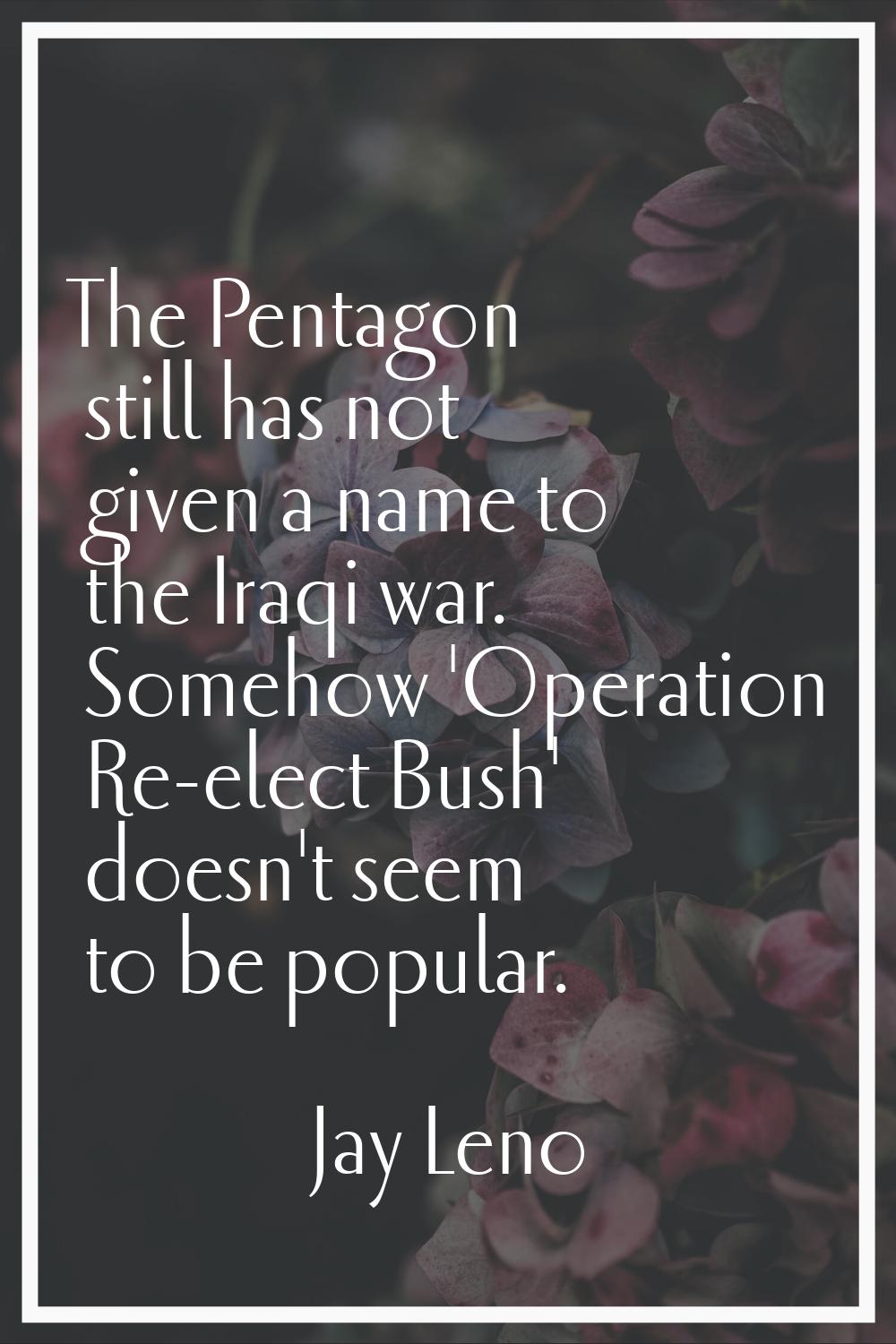 The Pentagon still has not given a name to the Iraqi war. Somehow 'Operation Re-elect Bush' doesn't