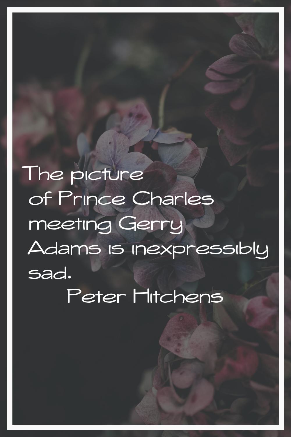 The picture of Prince Charles meeting Gerry Adams is inexpressibly sad.