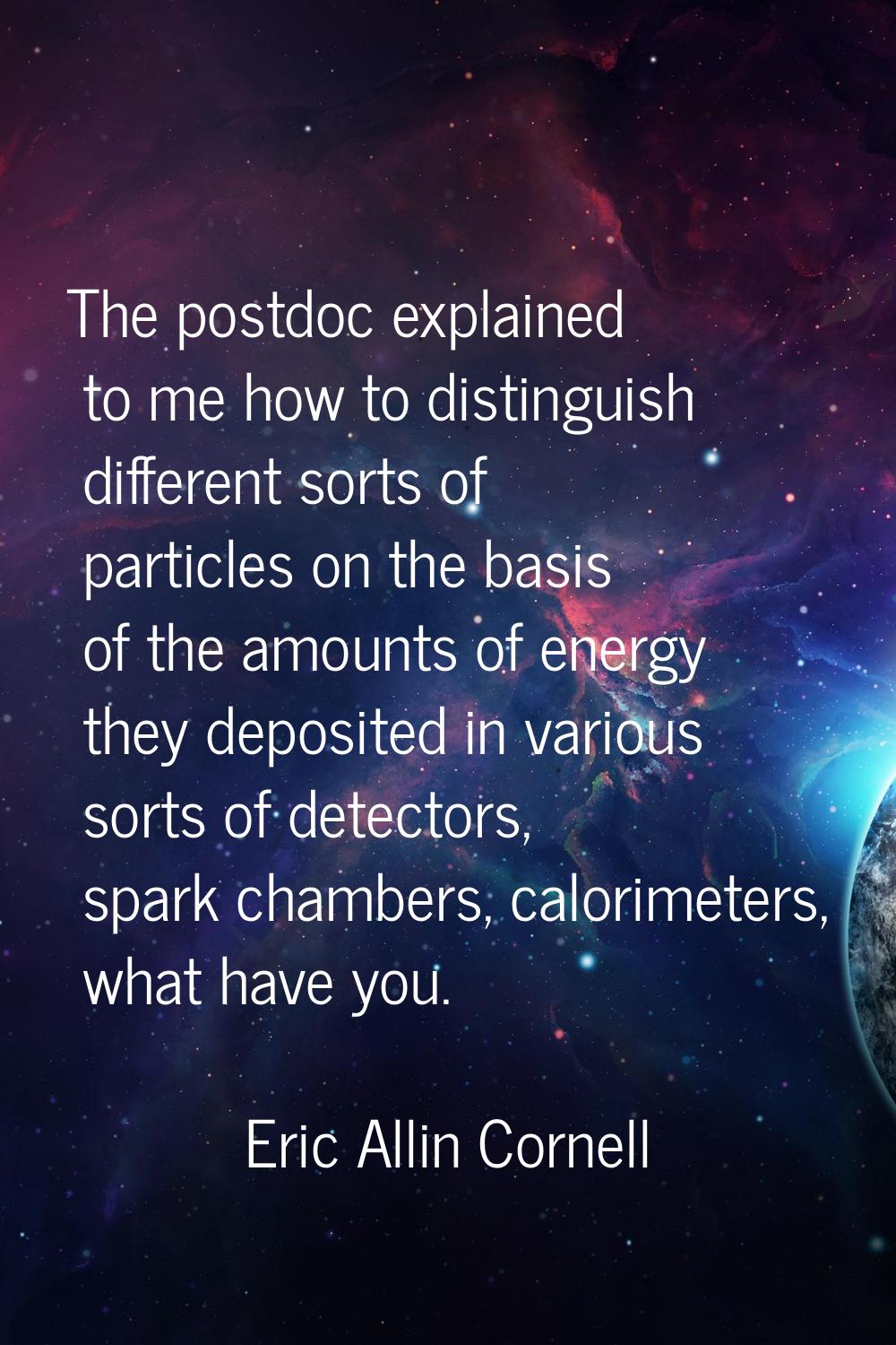 The postdoc explained to me how to distinguish different sorts of particles on the basis of the amo