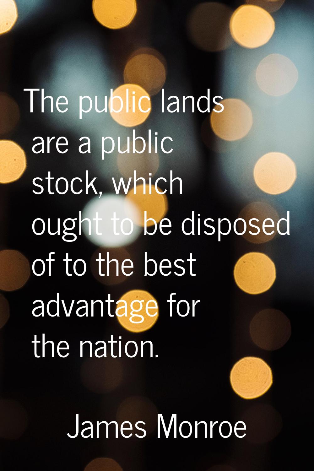 The public lands are a public stock, which ought to be disposed of to the best advantage for the na