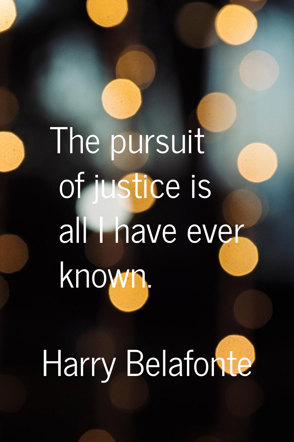 The pursuit of justice is all I have ever known.