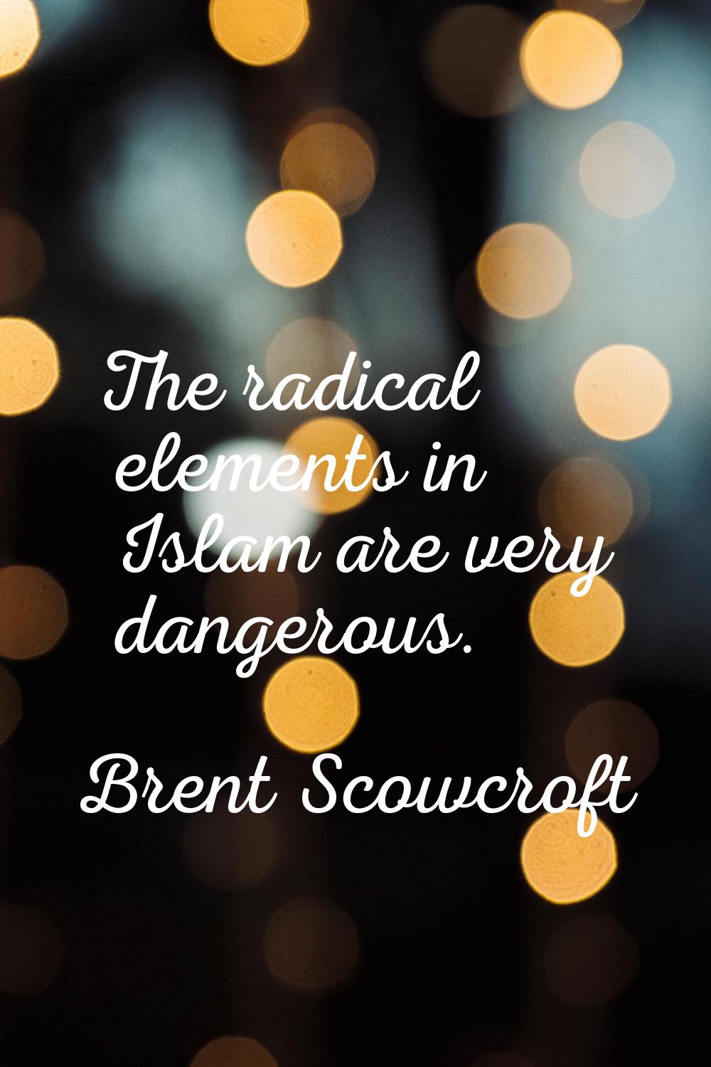 The radical elements in Islam are very dangerous.