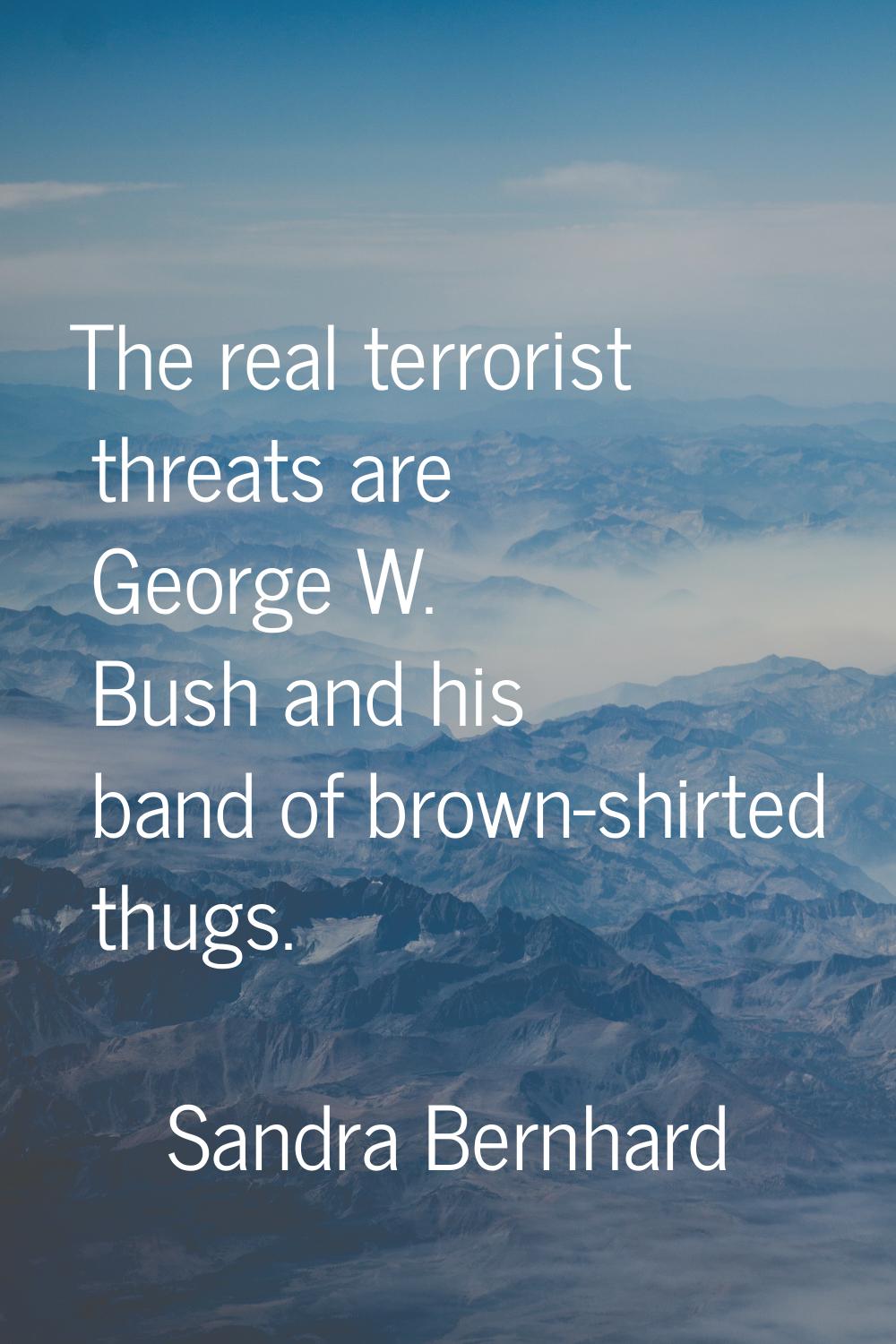 The real terrorist threats are George W. Bush and his band of brown-shirted thugs.