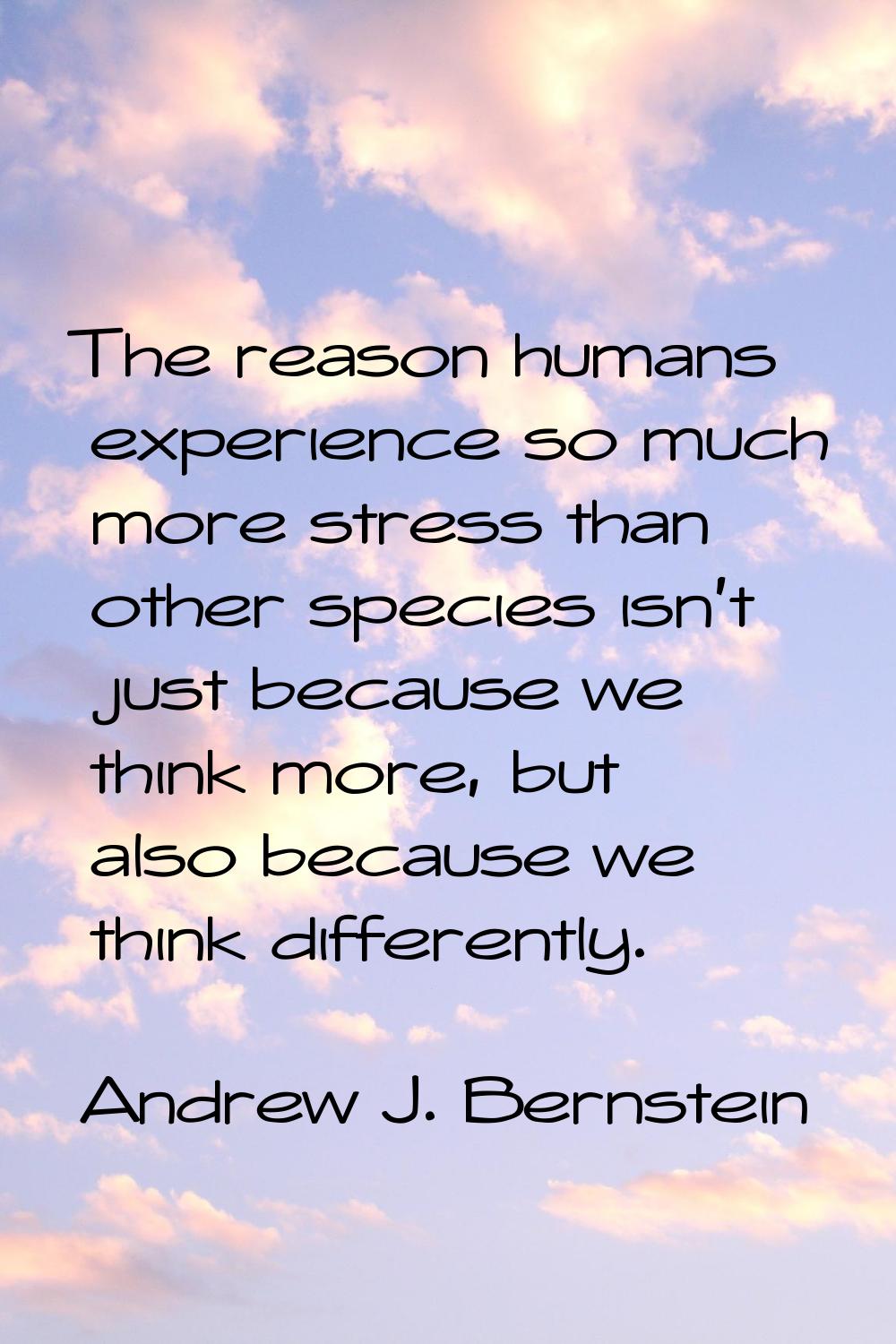 The reason humans experience so much more stress than other species isn't just because we think mor