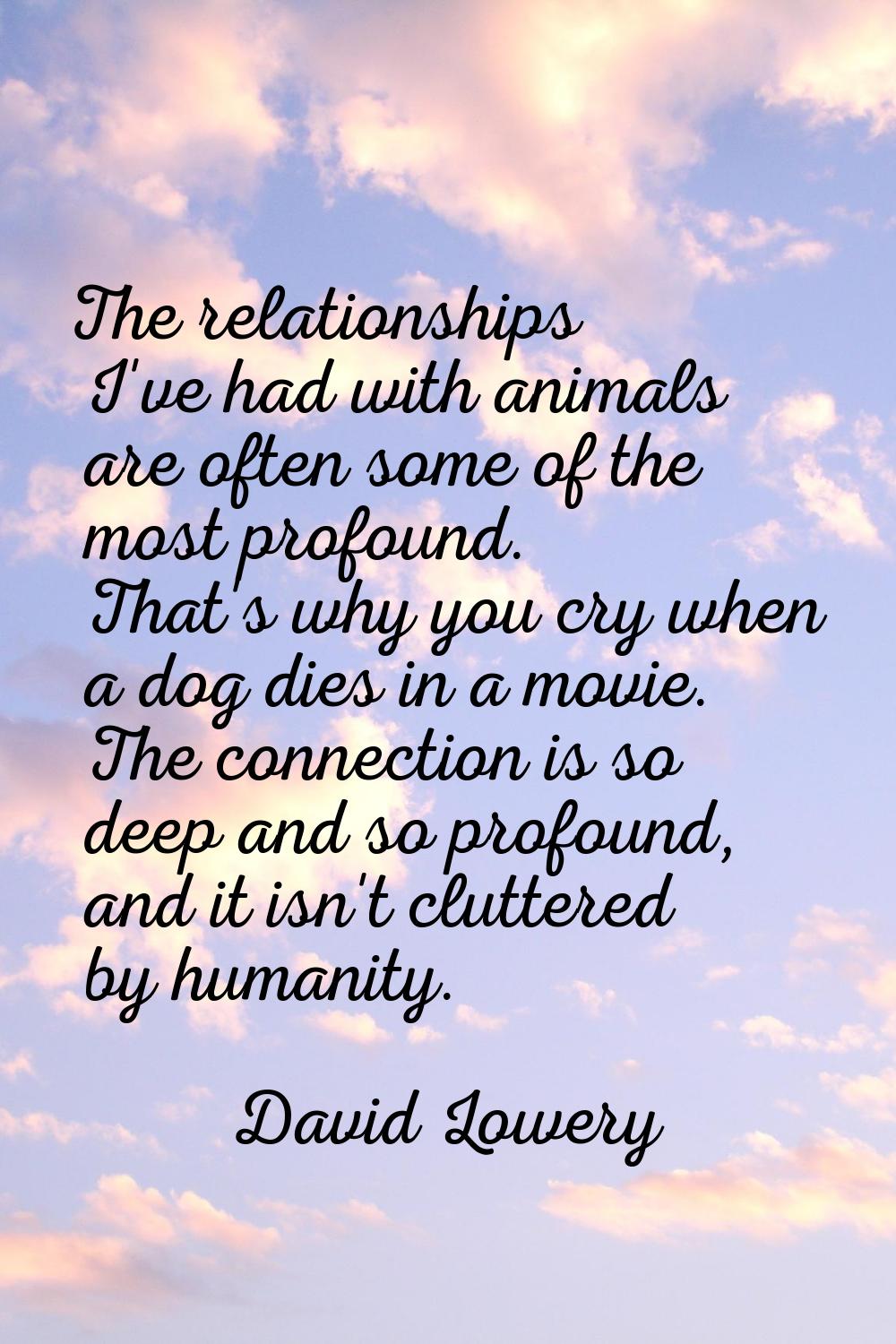 The relationships I've had with animals are often some of the most profound. That's why you cry whe
