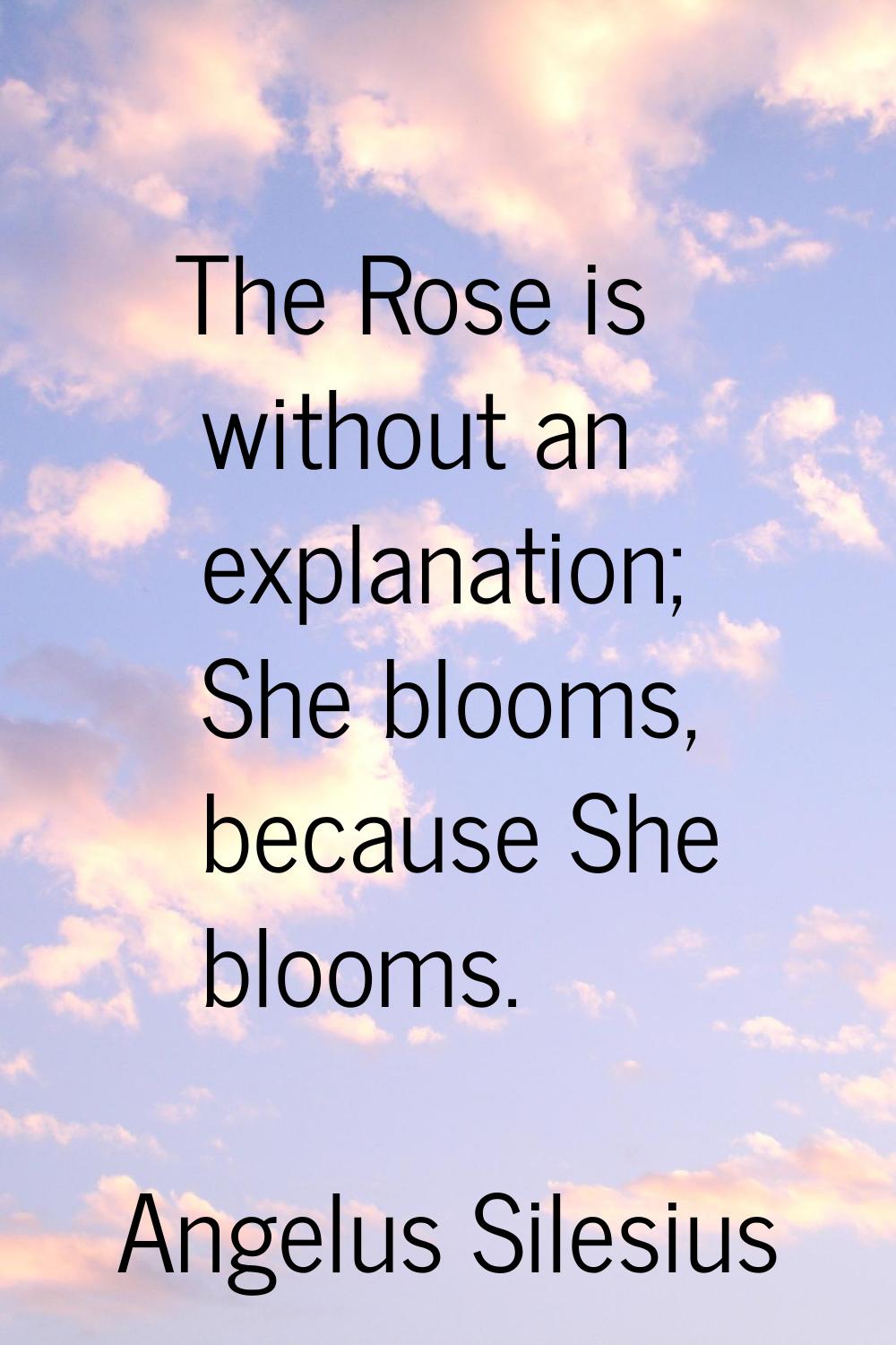 The Rose is without an explanation; She blooms, because She blooms.