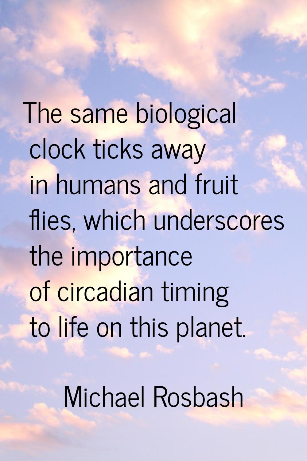 The same biological clock ticks away in humans and fruit flies, which underscores the importance of