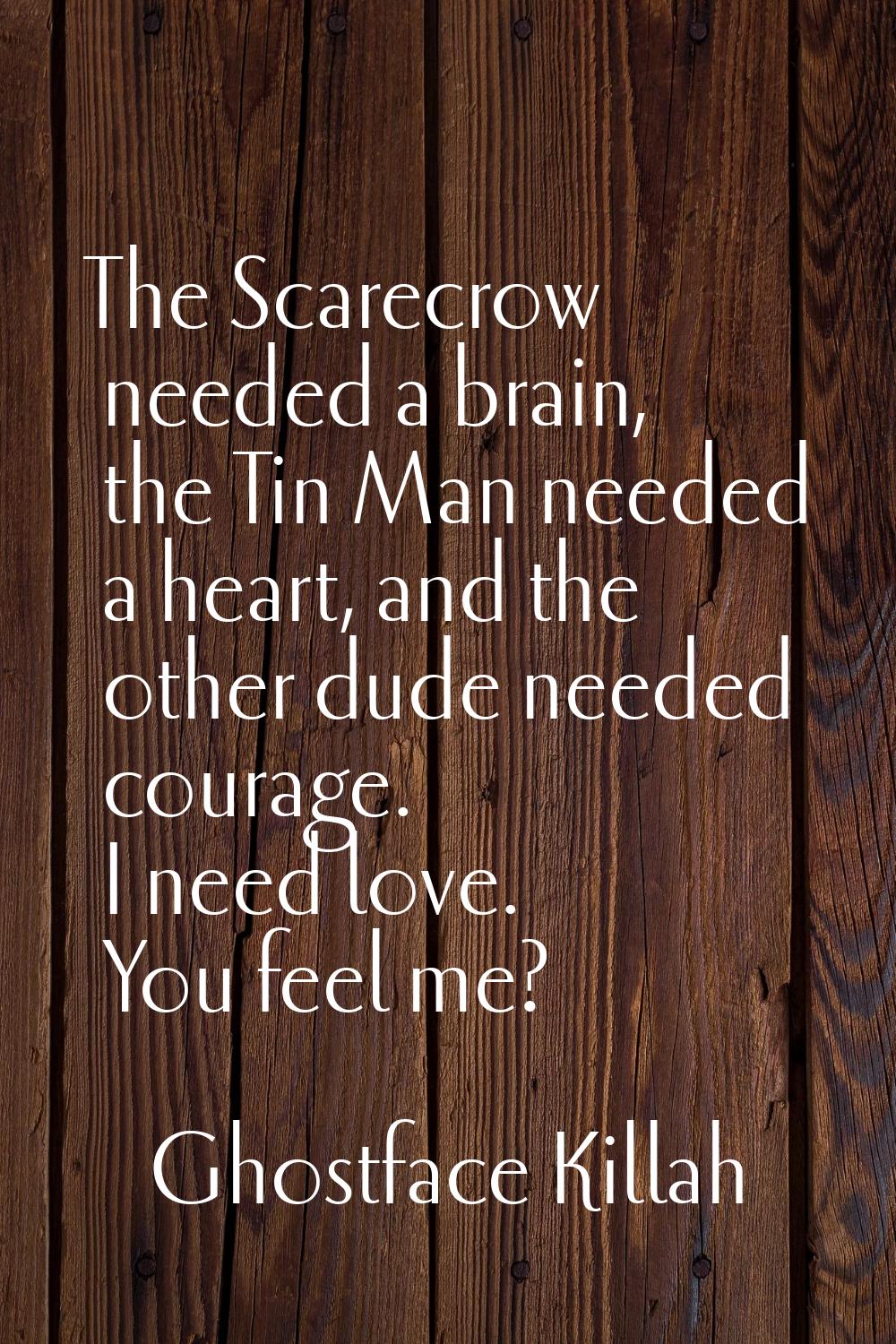 The Scarecrow needed a brain, the Tin Man needed a heart, and the other dude needed courage. I need