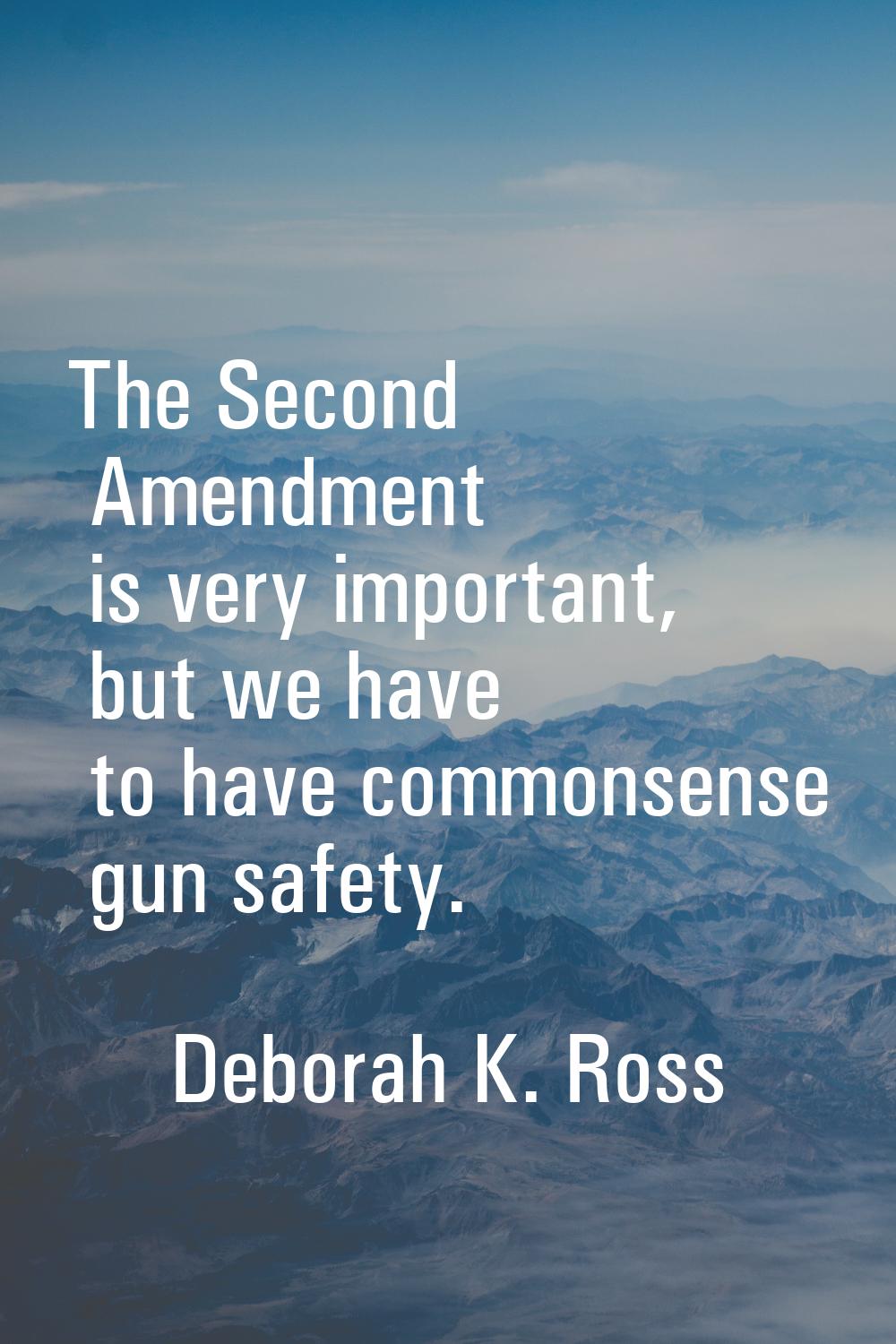 The Second Amendment is very important, but we have to have commonsense gun safety.