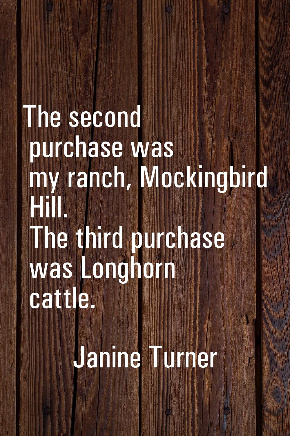 The second purchase was my ranch, Mockingbird Hill. The third purchase was Longhorn cattle.