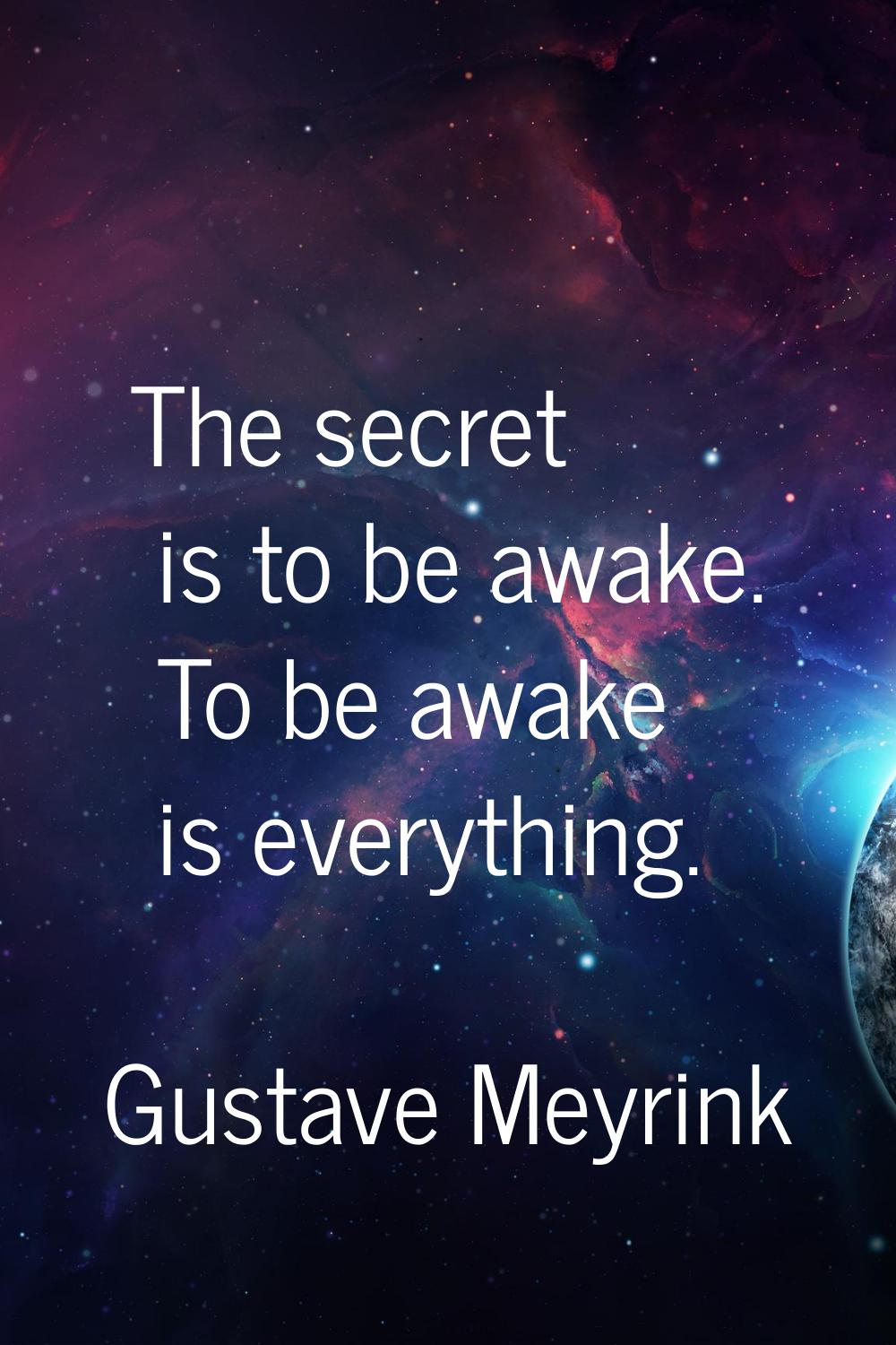 The secret is to be awake. To be awake is everything.