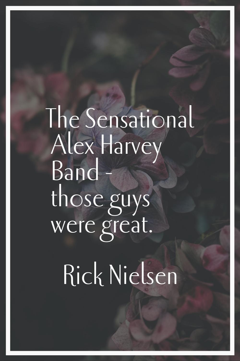 The Sensational Alex Harvey Band - those guys were great.