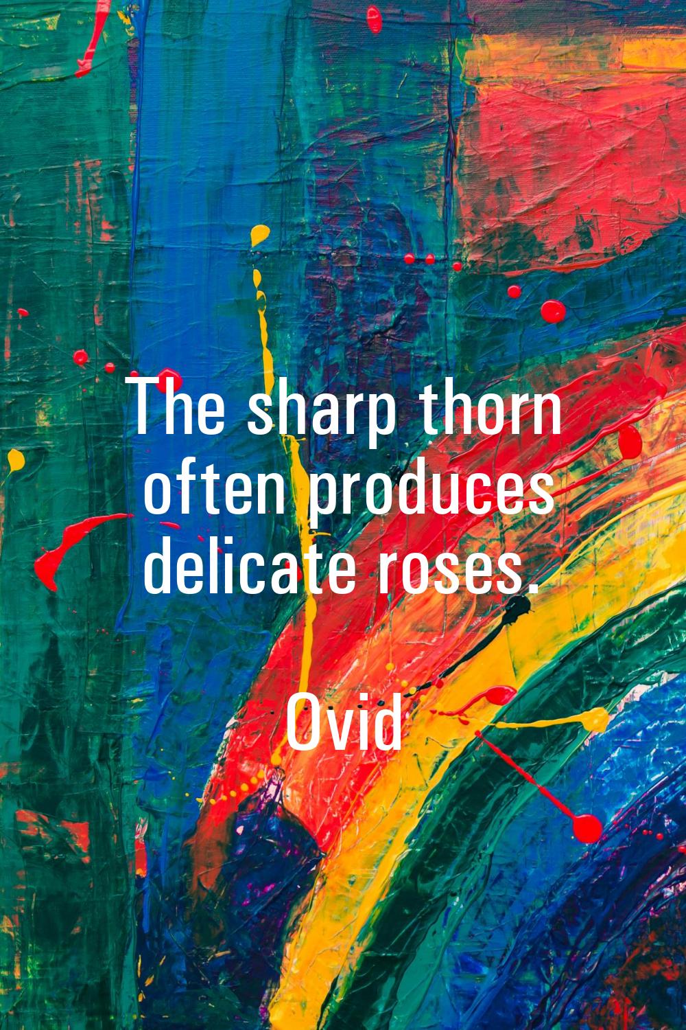 The sharp thorn often produces delicate roses.
