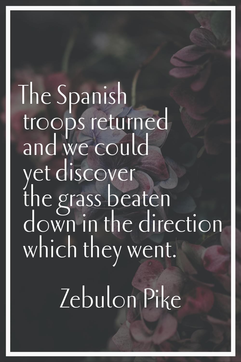 The Spanish troops returned and we could yet discover the grass beaten down in the direction which 