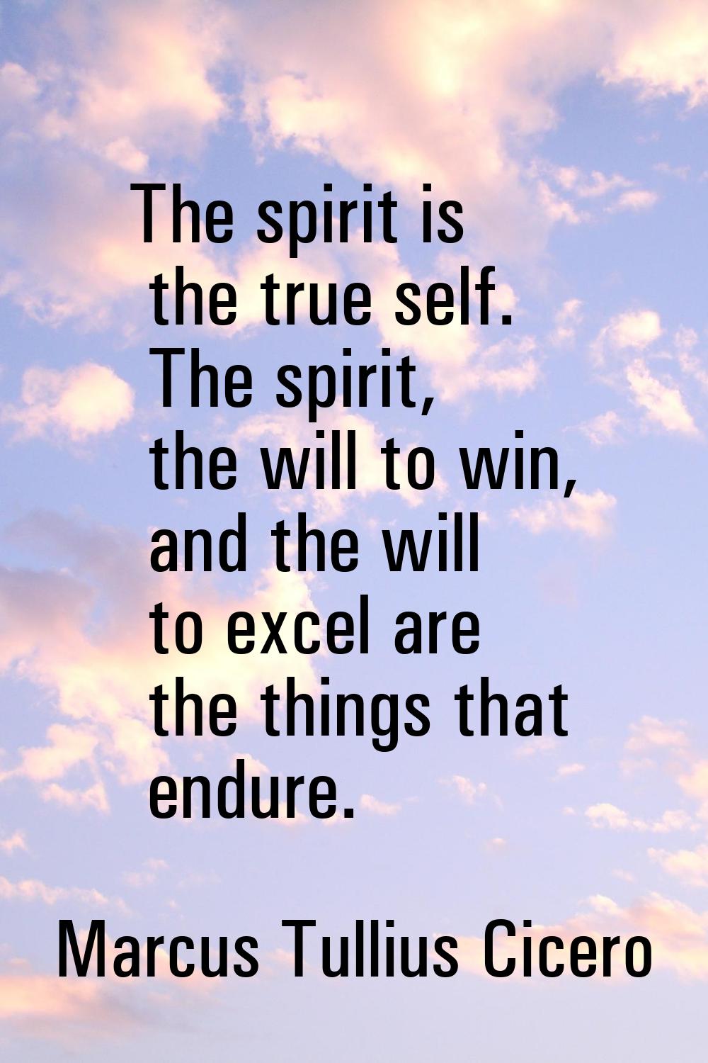 The spirit is the true self. The spirit, the will to win, and the will to excel are the things that