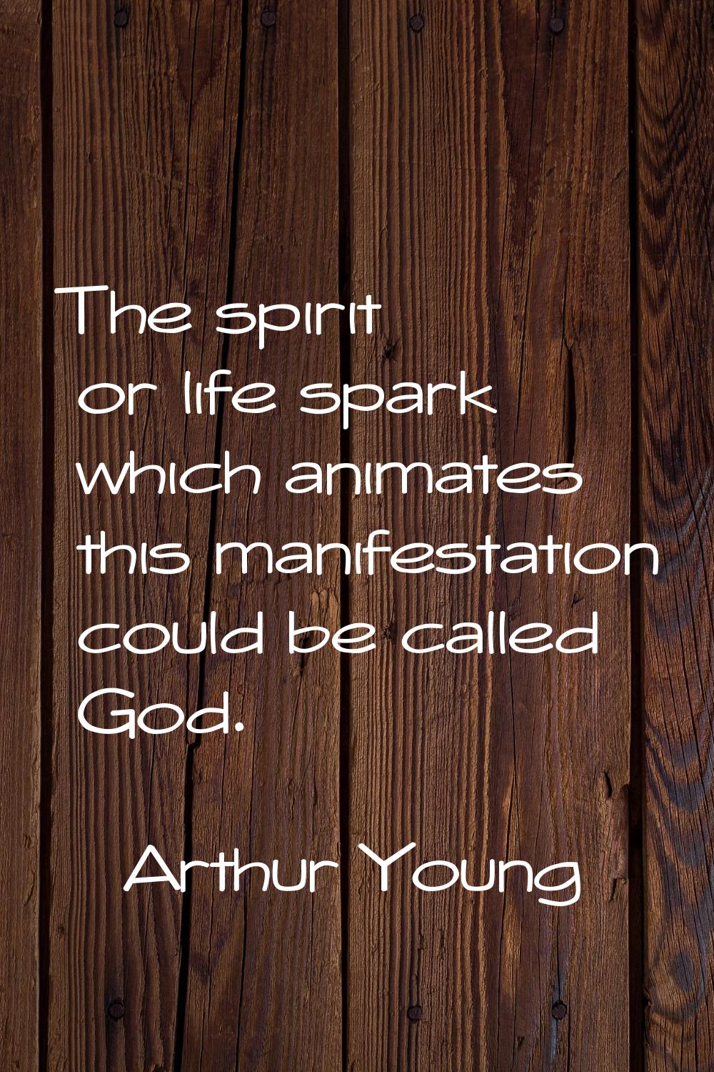 The spirit or life spark which animates this manifestation could be called God.