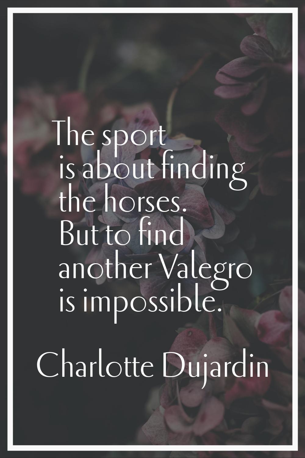 The sport is about finding the horses. But to find another Valegro is impossible.