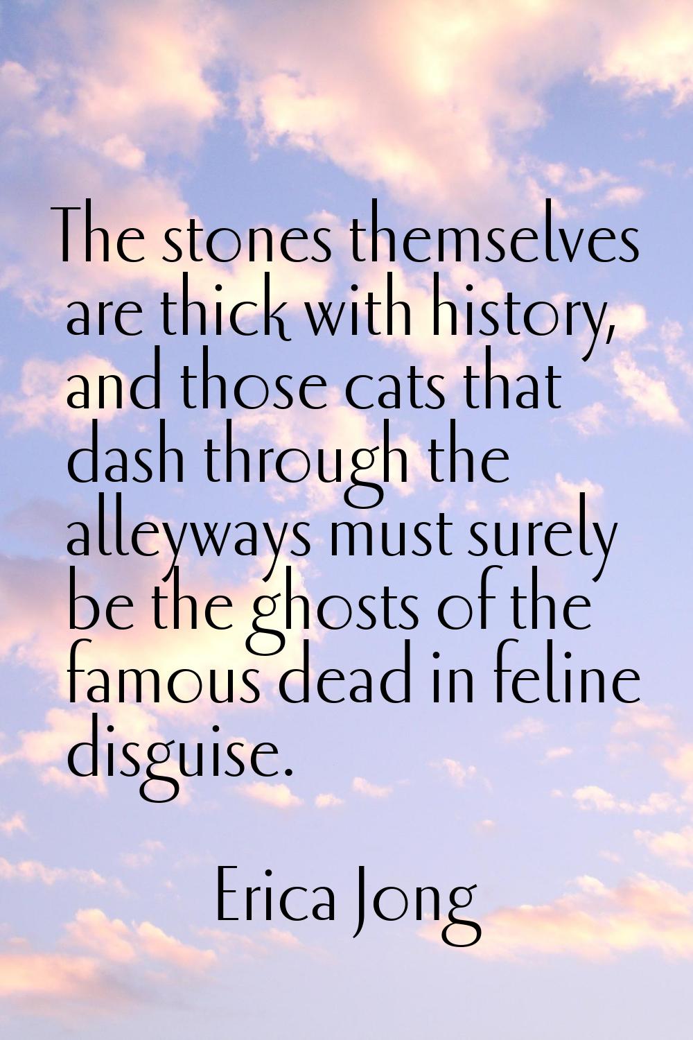 The stones themselves are thick with history, and those cats that dash through the alleyways must s