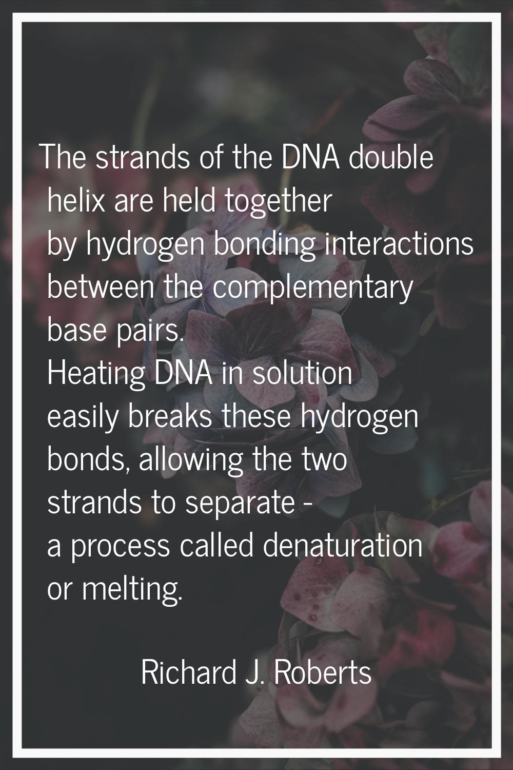 The strands of the DNA double helix are held together by hydrogen bonding interactions between the 