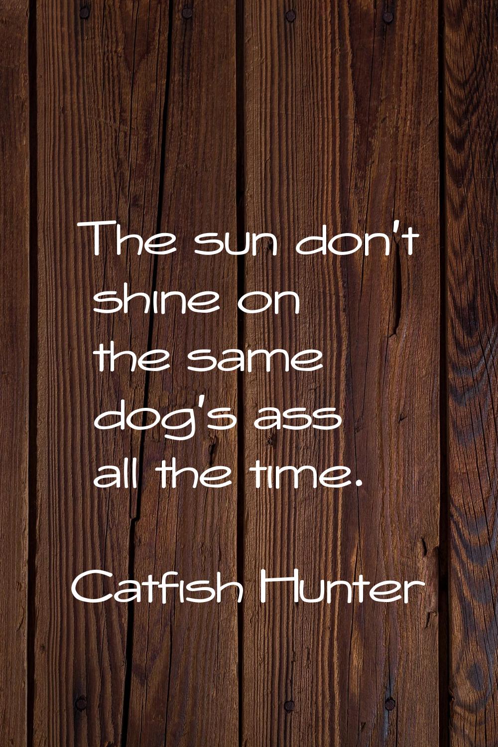 The sun don't shine on the same dog's ass all the time.
