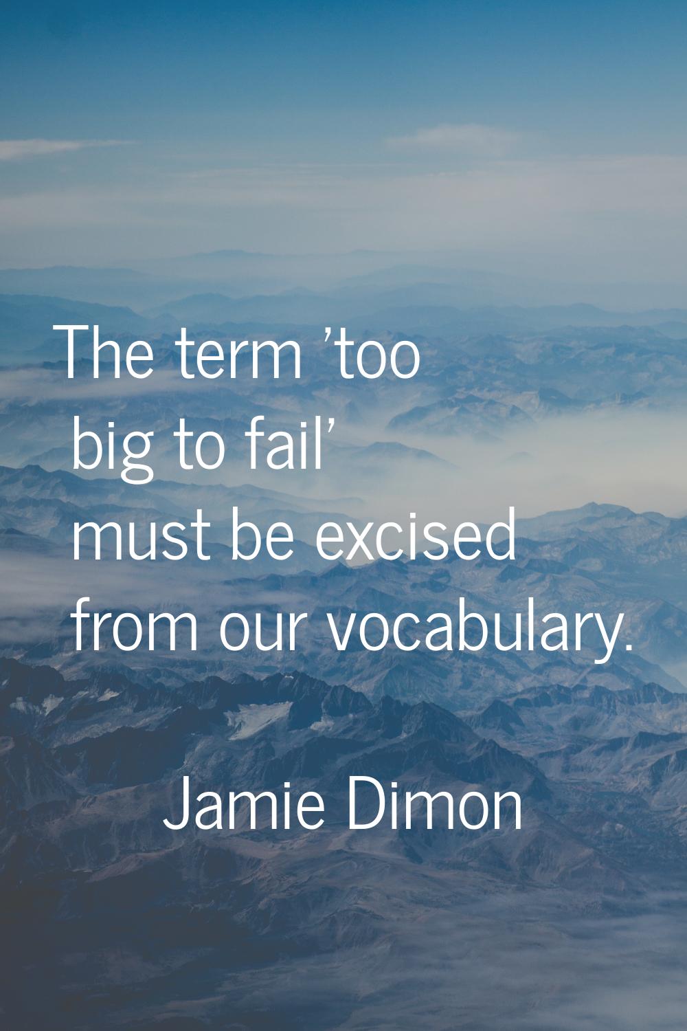 The term 'too big to fail' must be excised from our vocabulary.