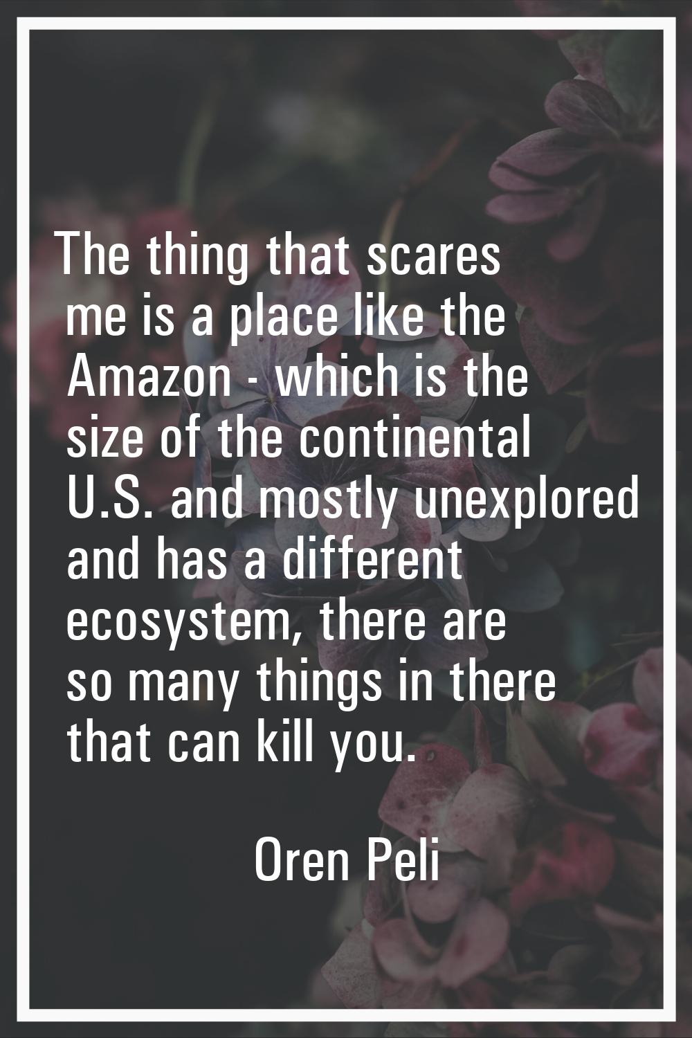 The thing that scares me is a place like the Amazon - which is the size of the continental U.S. and