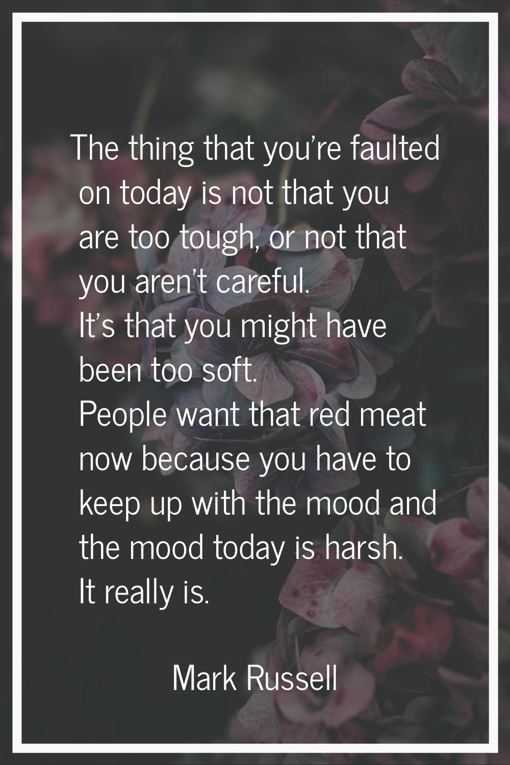 The thing that you're faulted on today is not that you are too tough, or not that you aren't carefu