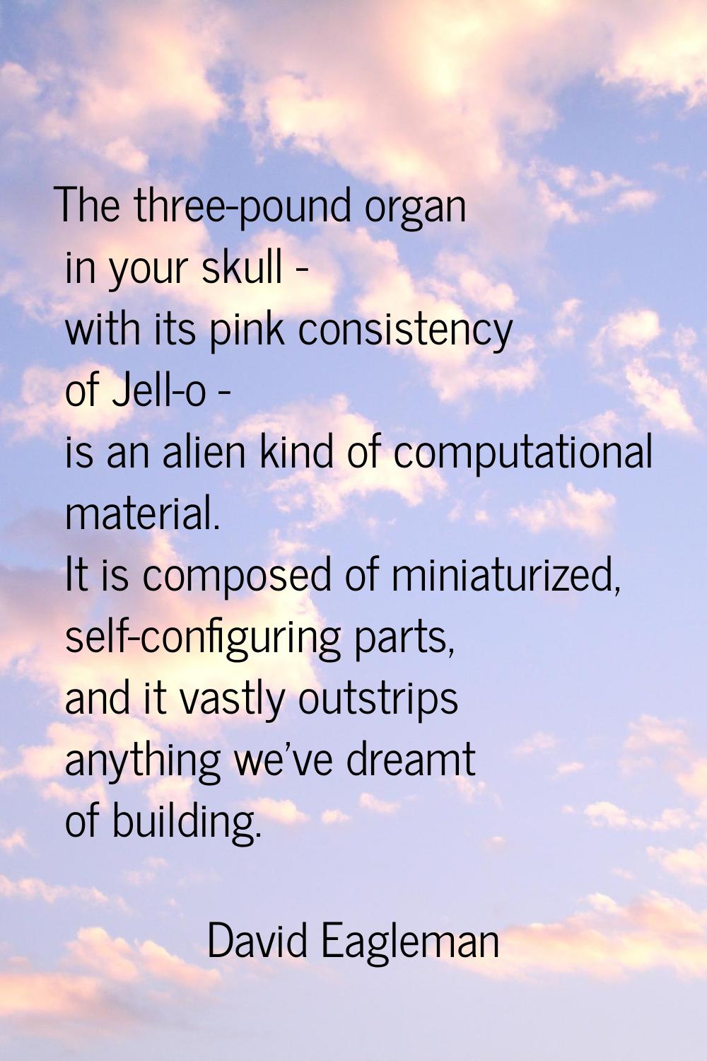 The three-pound organ in your skull - with its pink consistency of Jell-o - is an alien kind of com