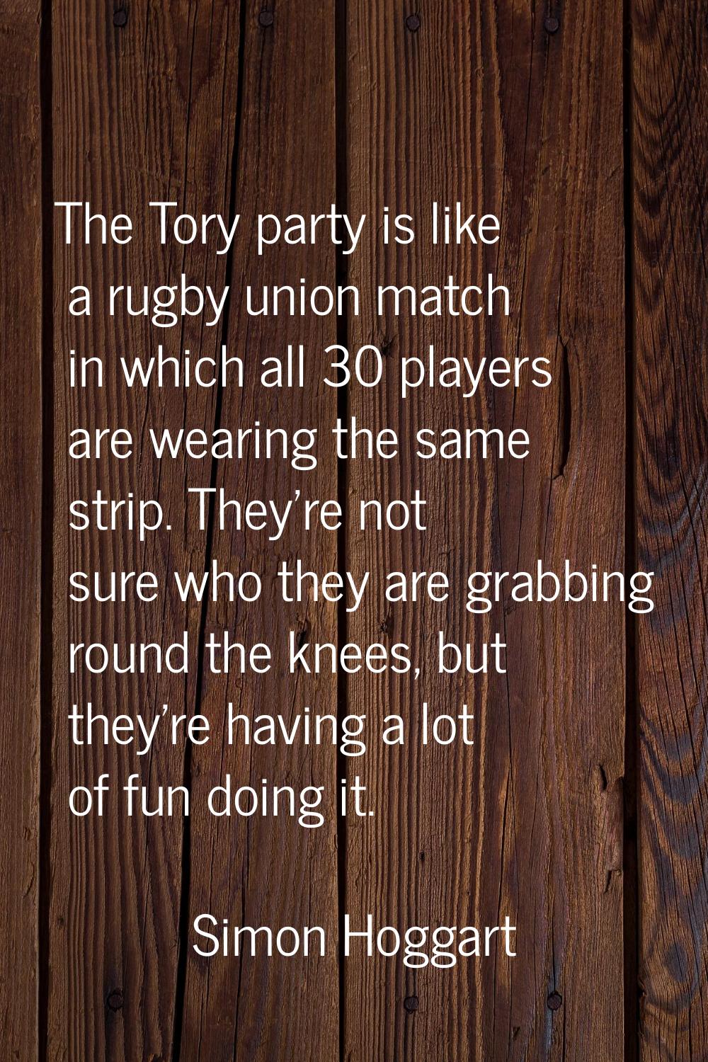 The Tory party is like a rugby union match in which all 30 players are wearing the same strip. They