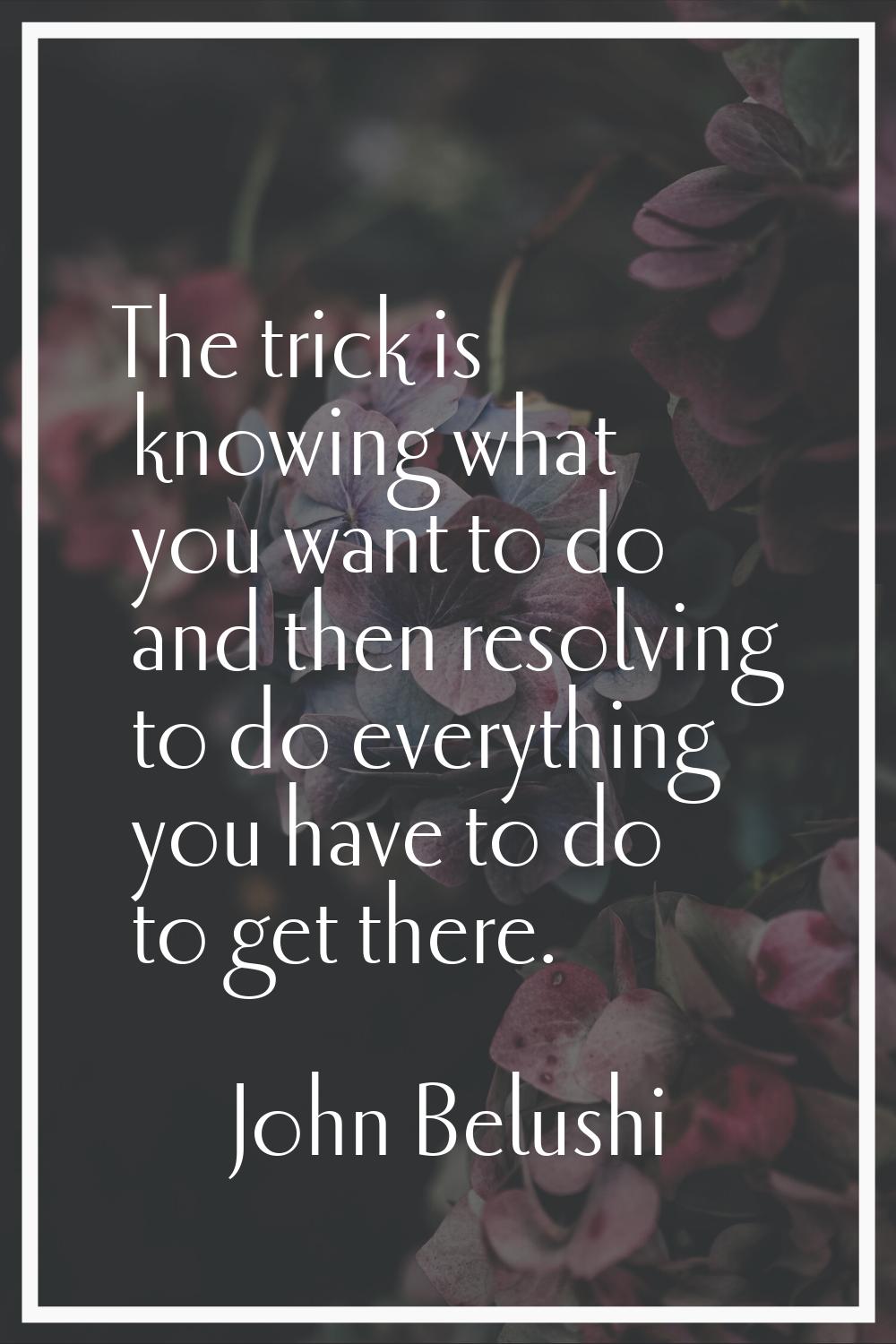The trick is knowing what you want to do and then resolving to do everything you have to do to get 