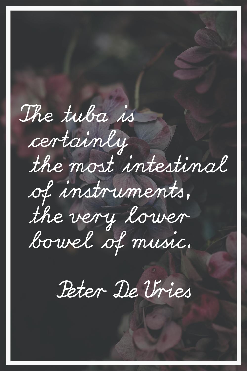 The tuba is certainly the most intestinal of instruments, the very lower bowel of music.