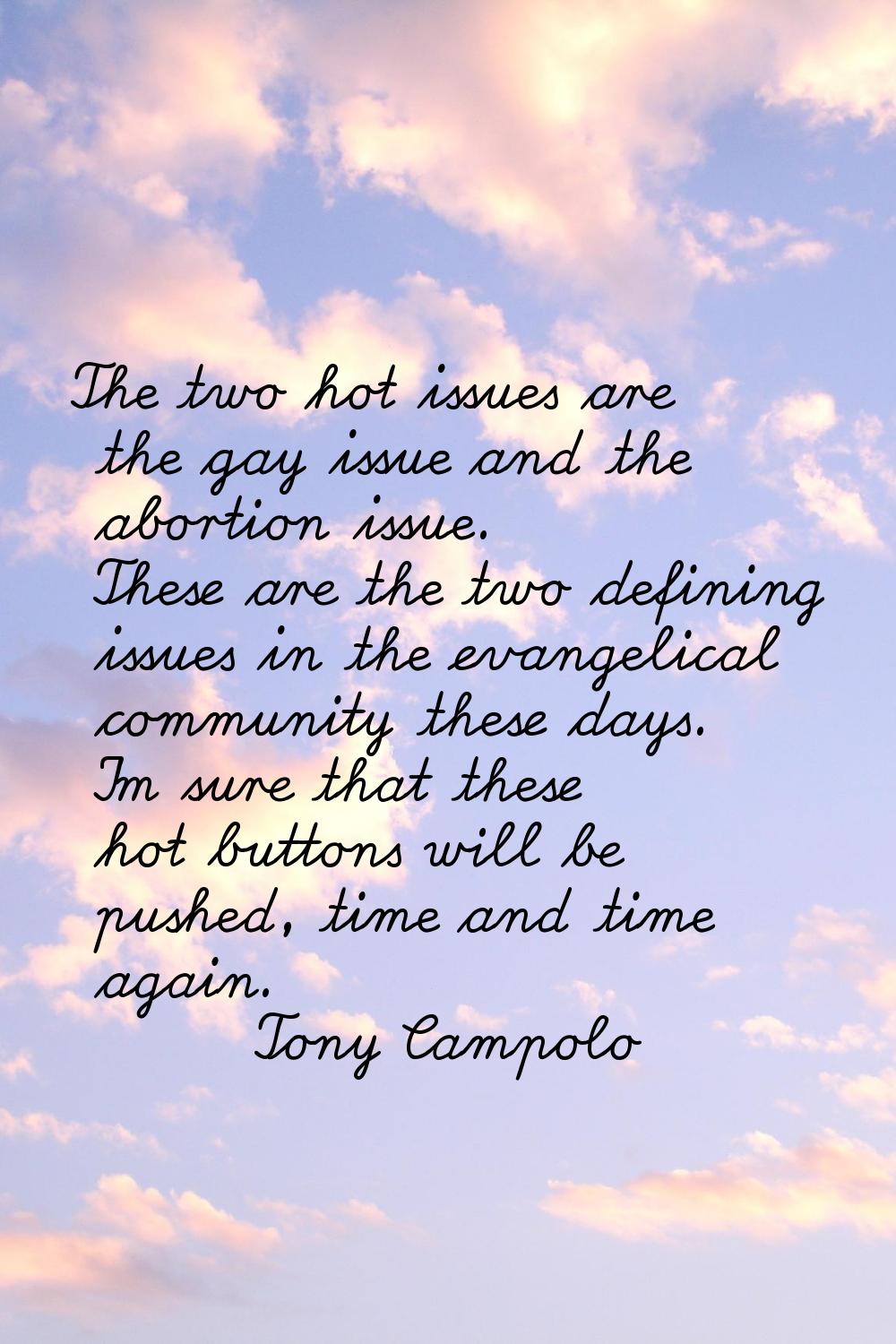The two hot issues are the gay issue and the abortion issue. These are the two defining issues in t
