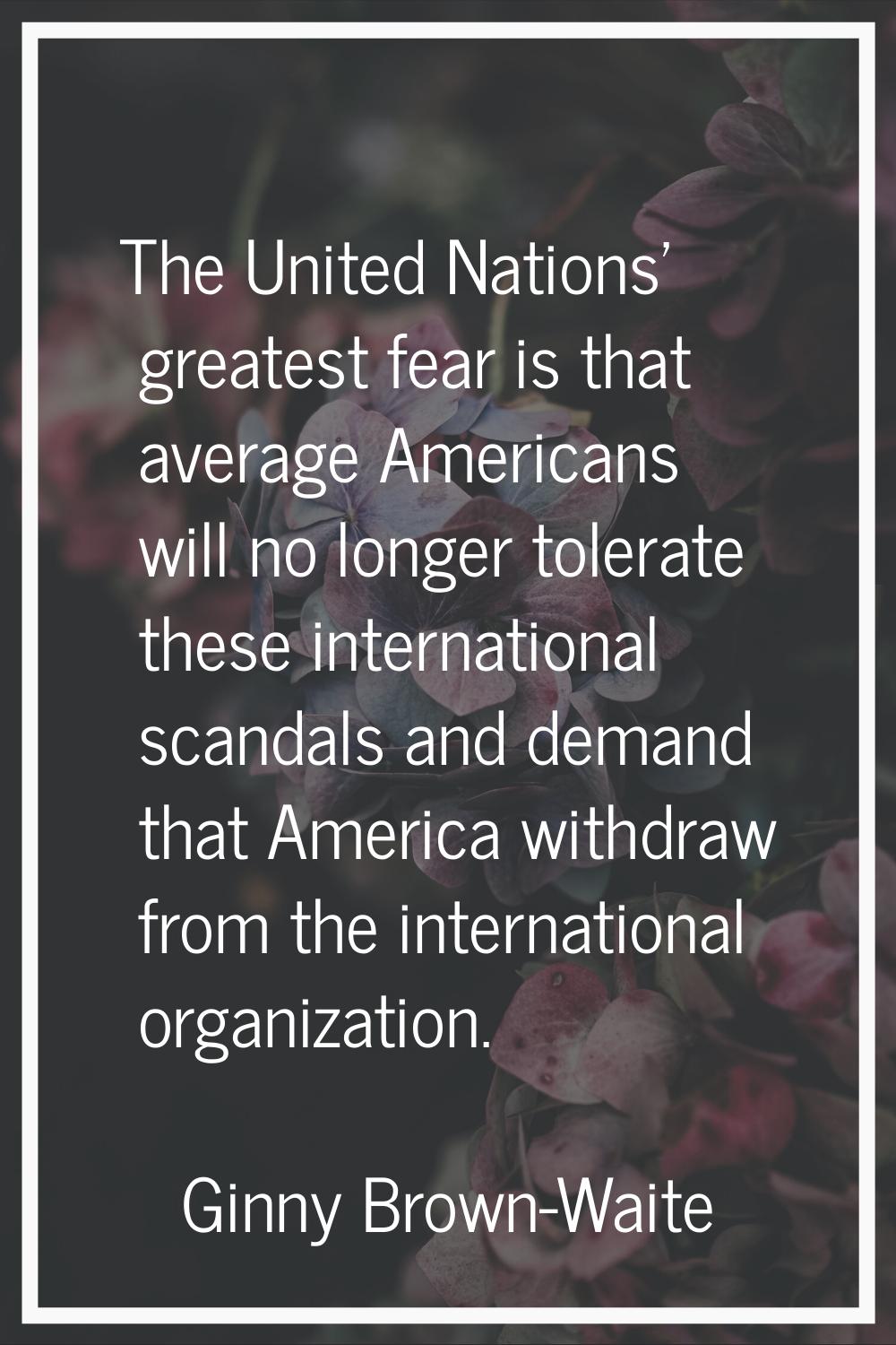 The United Nations' greatest fear is that average Americans will no longer tolerate these internati