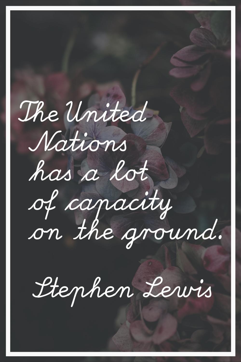 The United Nations has a lot of capacity on the ground.
