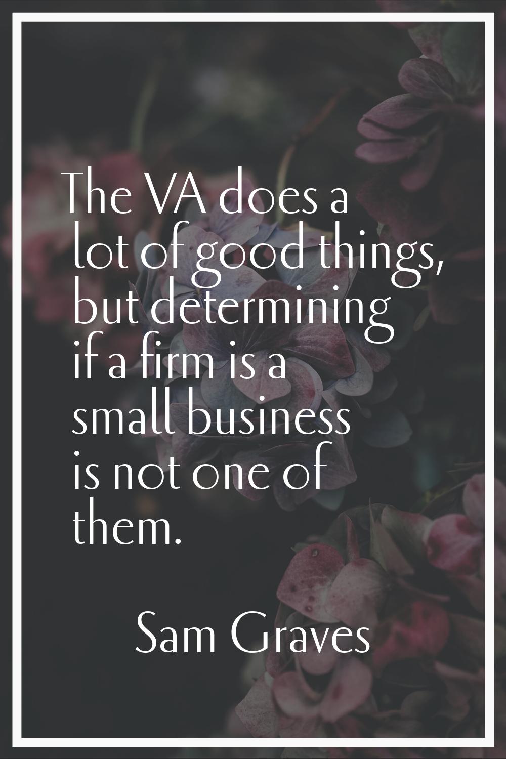 The VA does a lot of good things, but determining if a firm is a small business is not one of them.