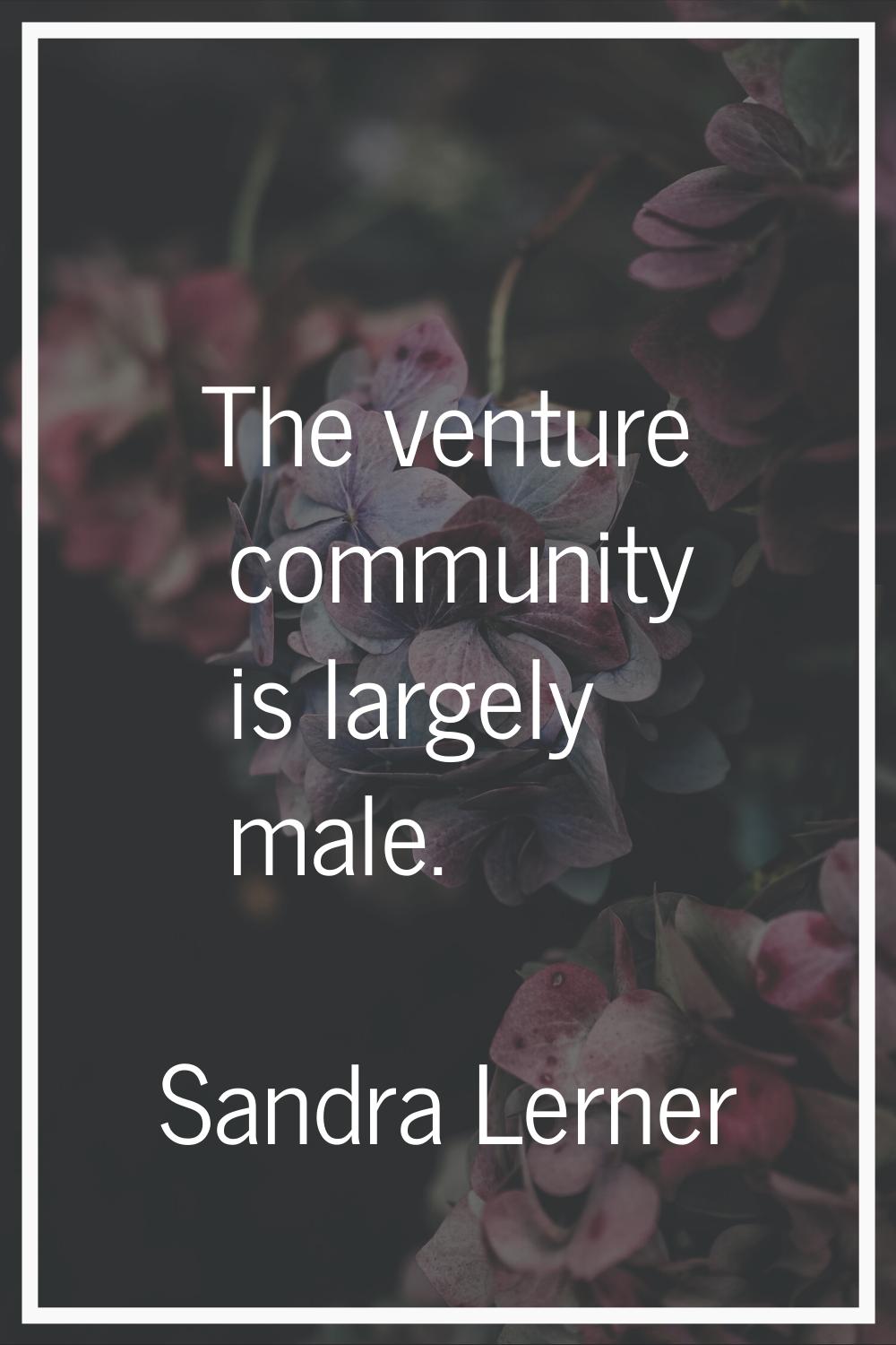 The venture community is largely male.