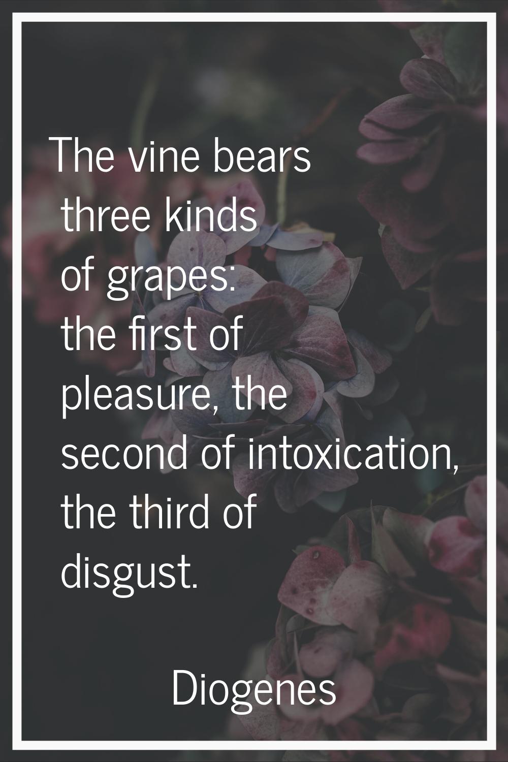 The vine bears three kinds of grapes: the first of pleasure, the second of intoxication, the third 