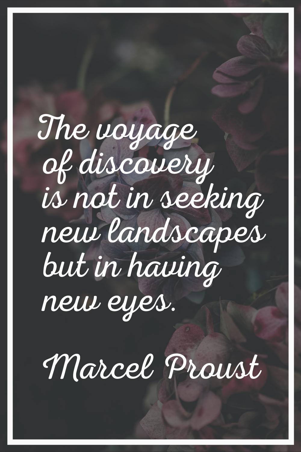 The voyage of discovery is not in seeking new landscapes but in having new eyes.