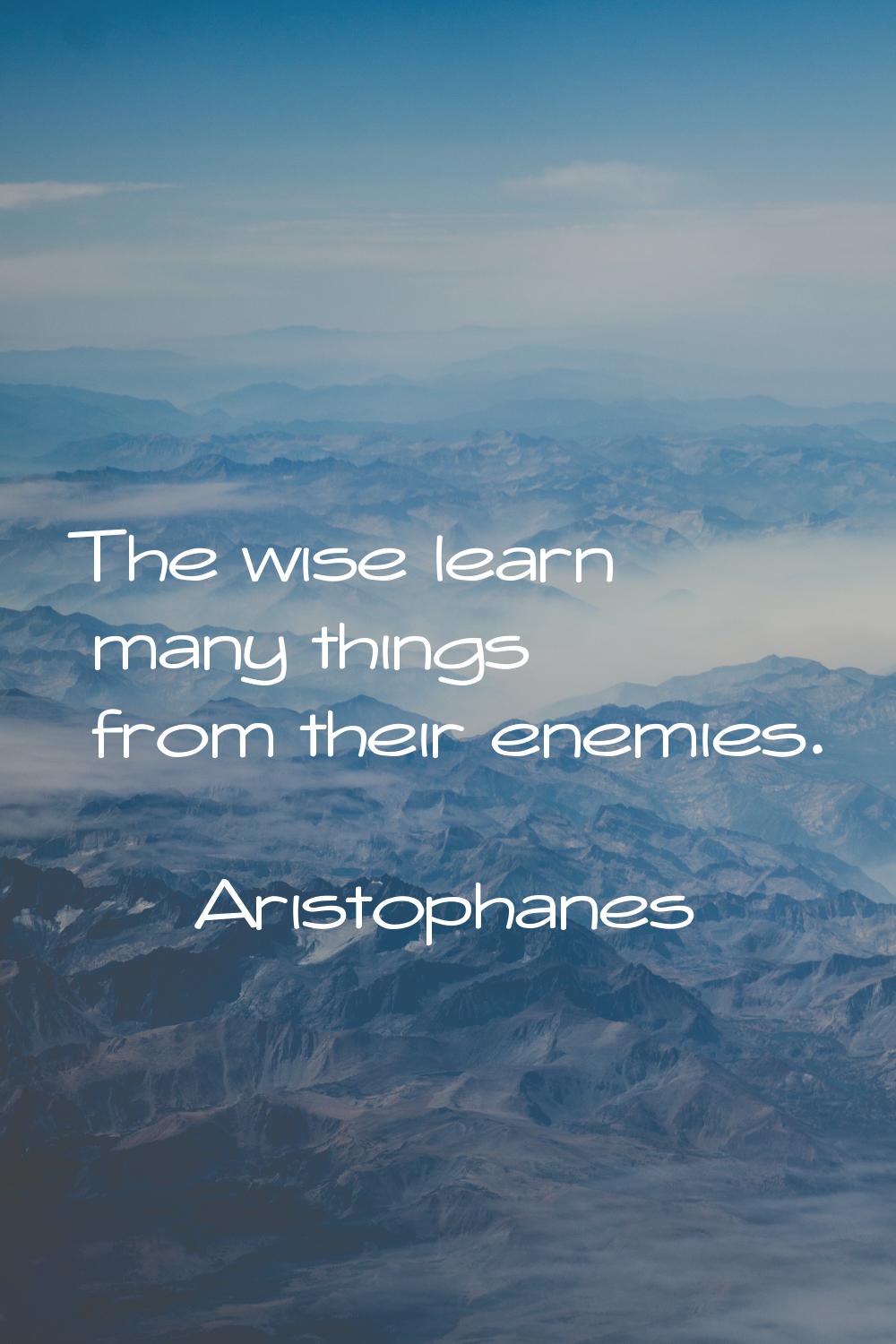 The wise learn many things from their enemies.