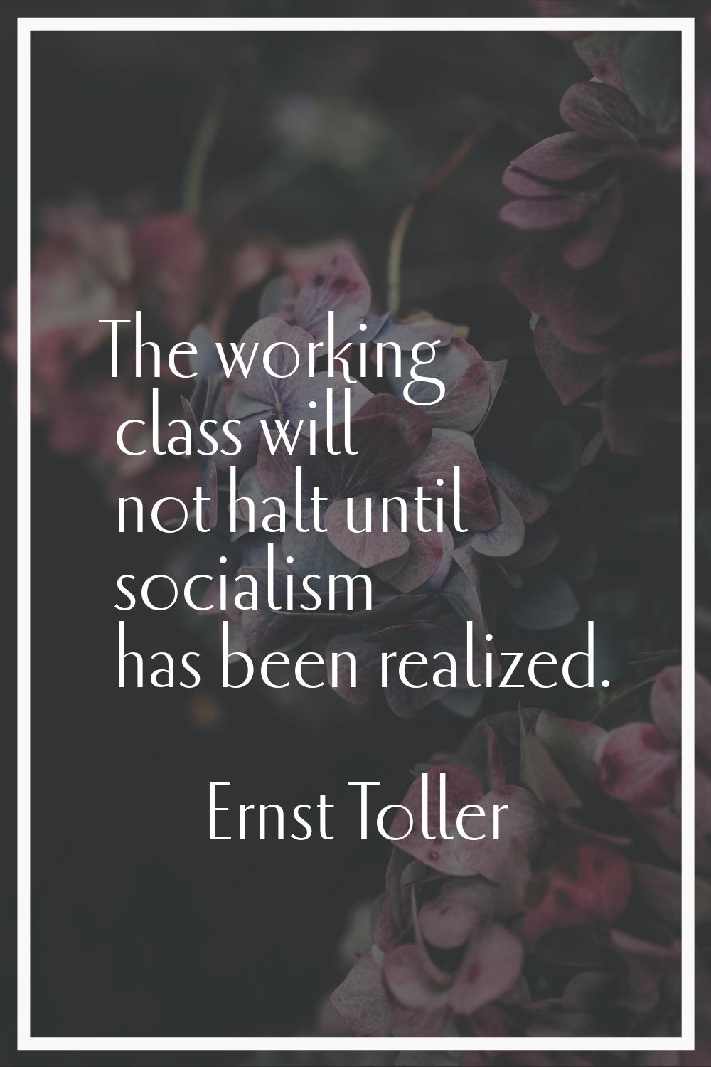 The working class will not halt until socialism has been realized.