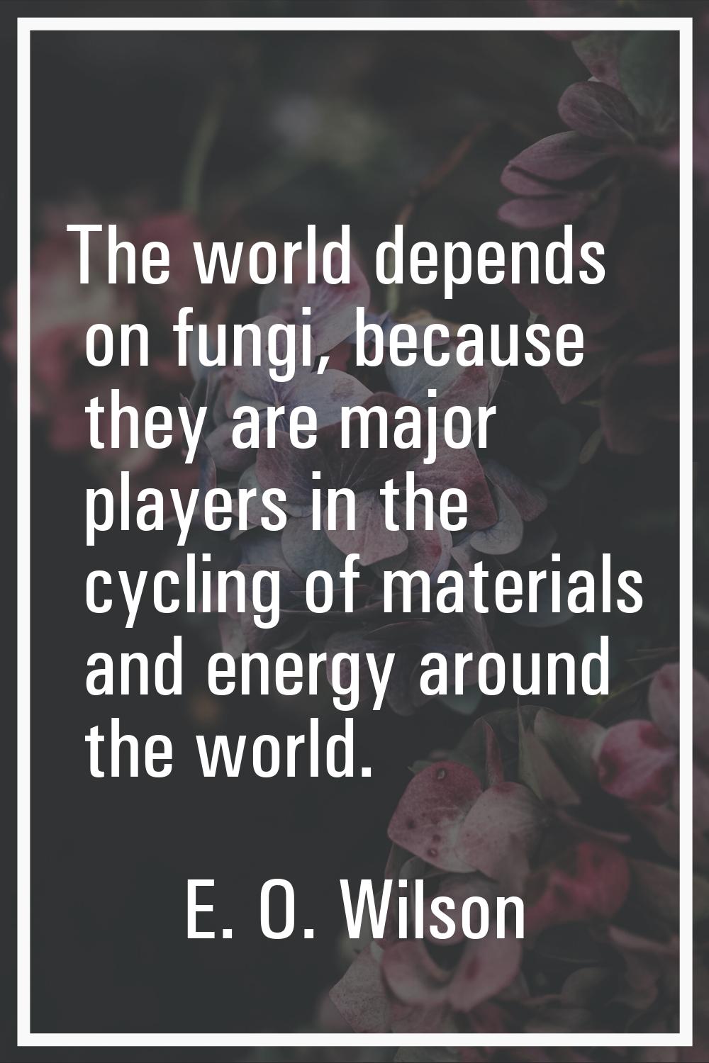 The world depends on fungi, because they are major players in the cycling of materials and energy a