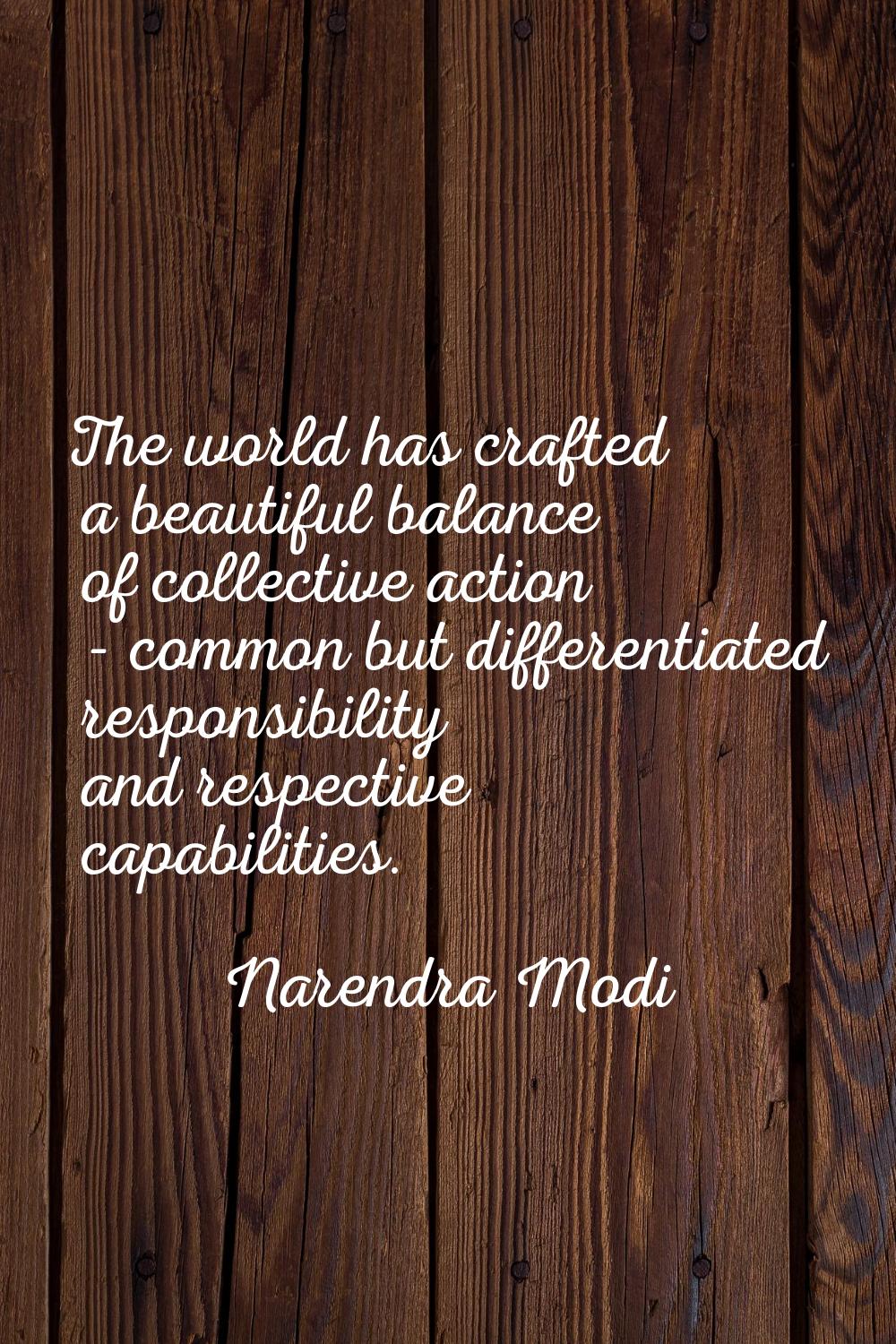 The world has crafted a beautiful balance of collective action - common but differentiated responsi