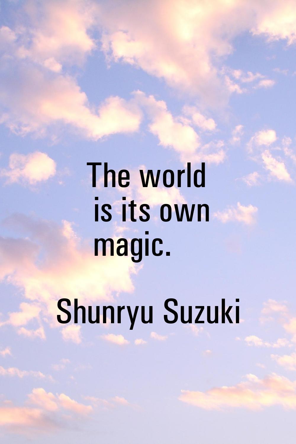 The world is its own magic.