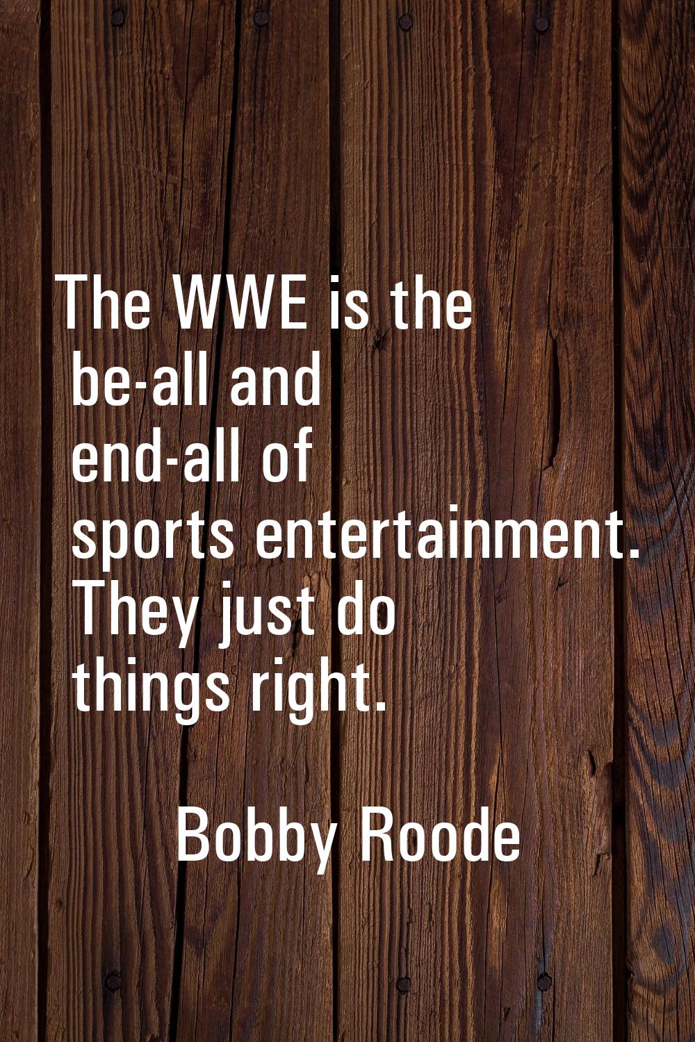 The WWE is the be-all and end-all of sports entertainment. They just do things right.
