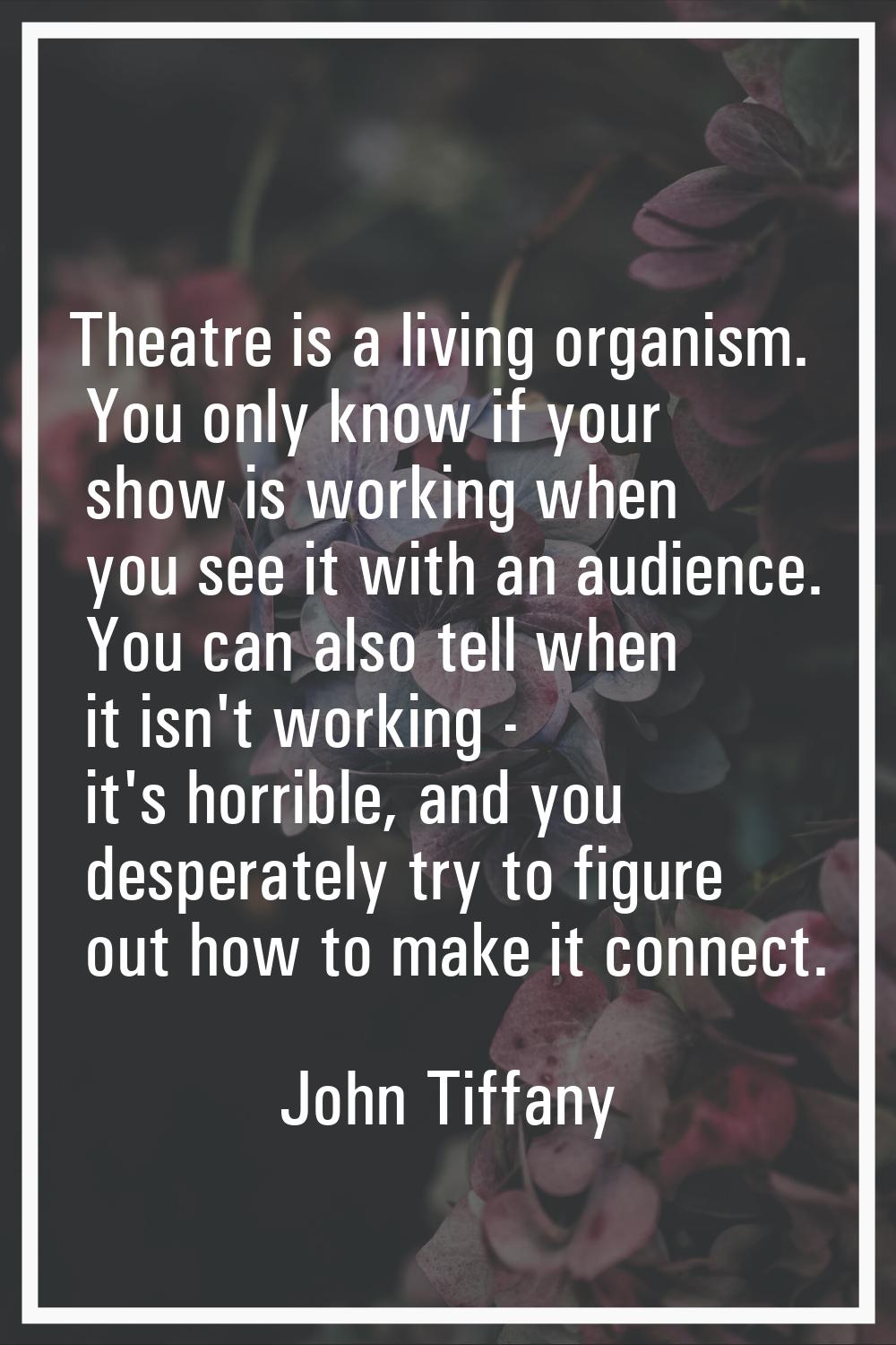 Theatre is a living organism. You only know if your show is working when you see it with an audienc