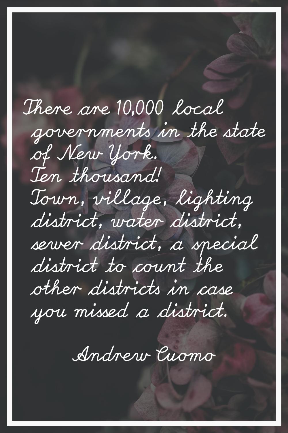 There are 10,000 local governments in the state of New York. Ten thousand! Town, village, lighting 