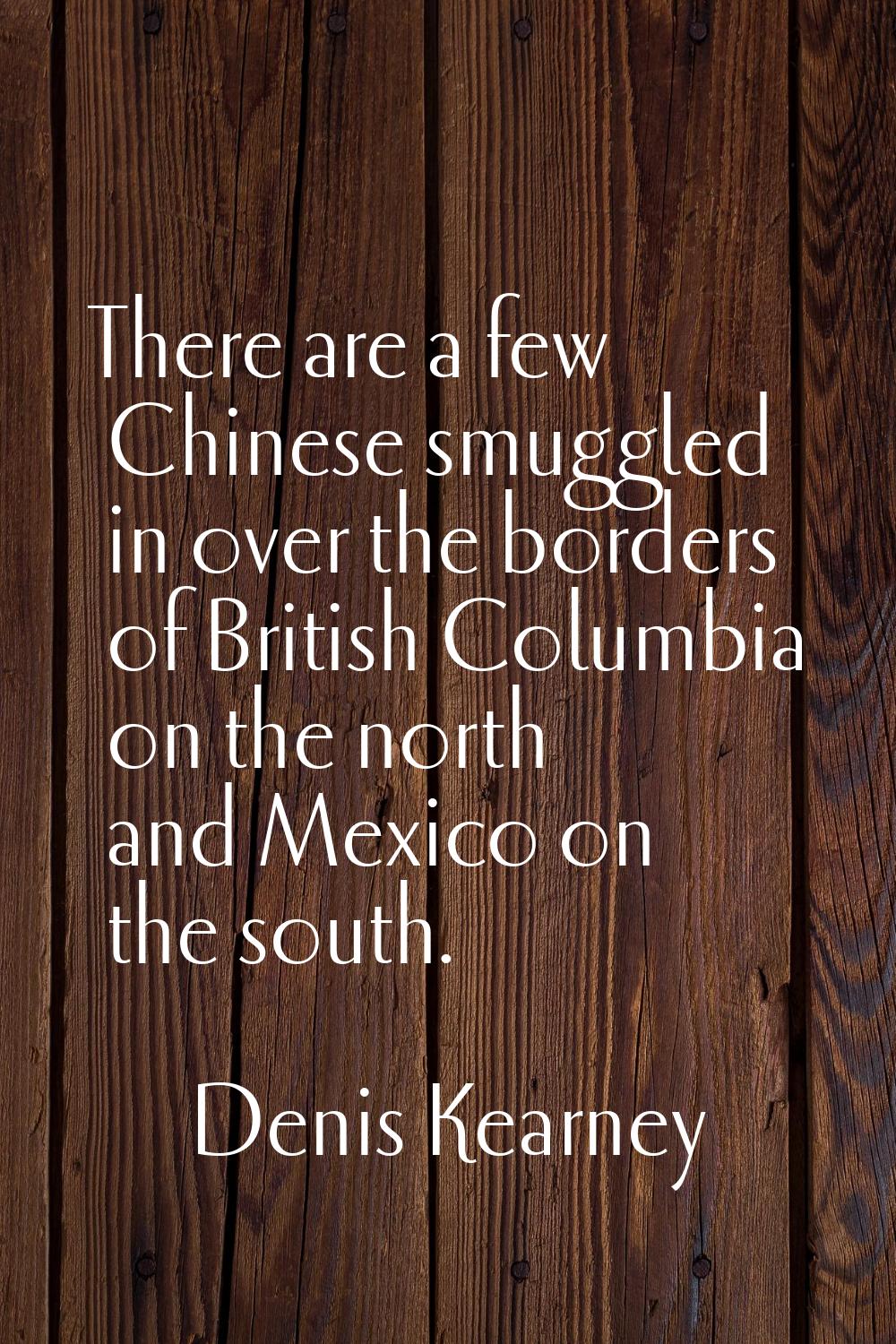 There are a few Chinese smuggled in over the borders of British Columbia on the north and Mexico on