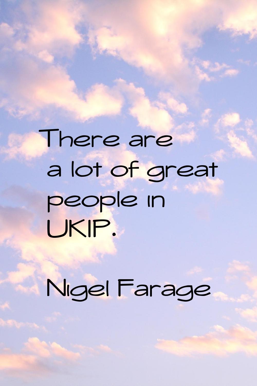 There are a lot of great people in UKIP.